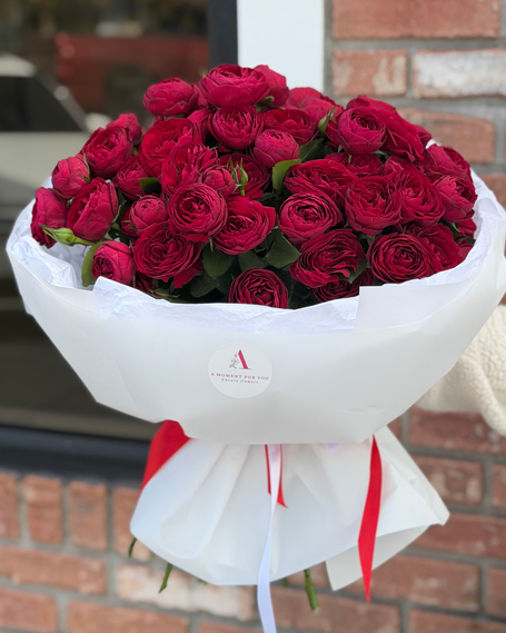 Valentine's Day Collection