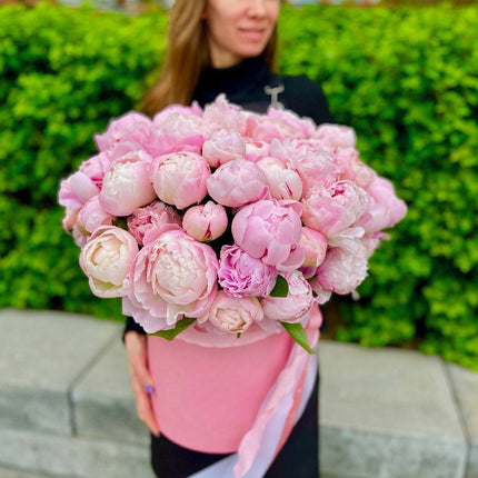 Peony Magic - 50 peonies