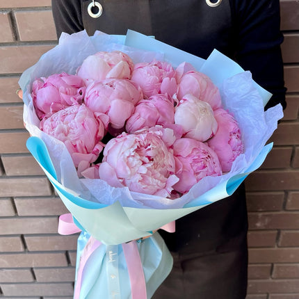 Tender Breeze - 11 peonies