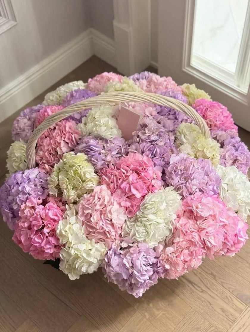 Pastel Symphony