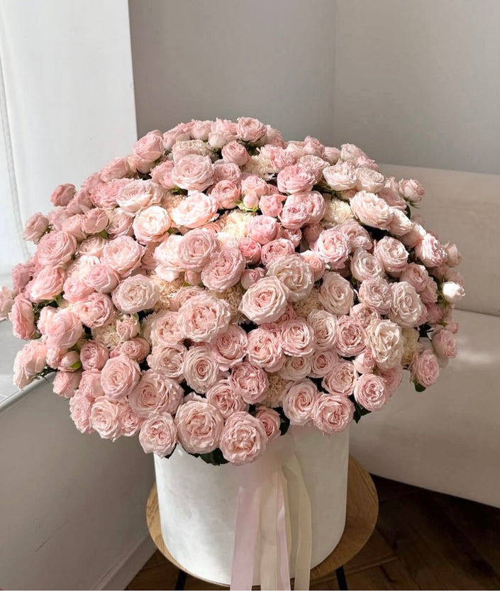 Tender Bloom