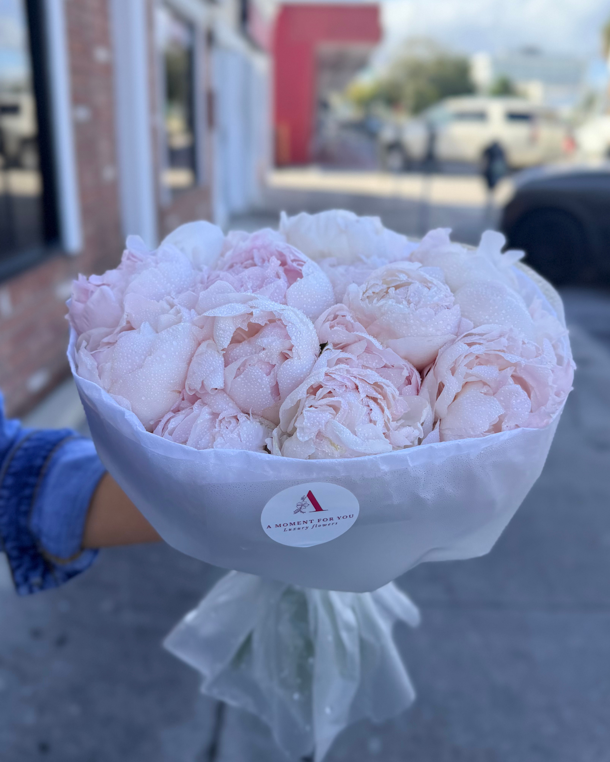 Blush Peony - 15 peonies